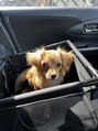 栄光治院 岡崎本院&nbsp;愛犬ちゃん！世界一可愛いですよね！【岡崎/中部/骨盤矯正】