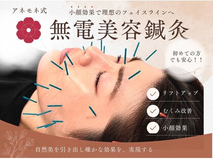 アネモネ 心斎橋院の写真