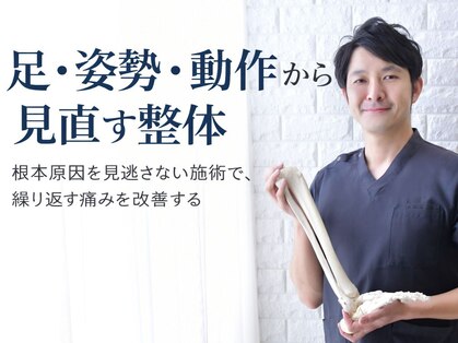 ニコ(niko)の写真