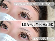 プリムス(Primus)/フラットラッシュ１６０本