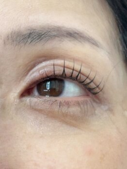 パトラ(PATRA)/まつげパーマ