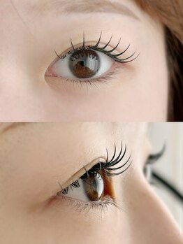 ムニ(muni)/LEDフラットラッシュ140本