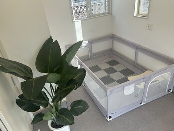 カランコエ(Kalanchoe)/子連れ可能