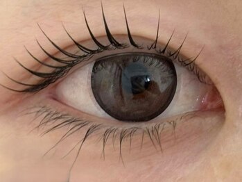 シャイニーゴールド 新所沢店(Shiny GOLD)の写真/自まつげ派にはおすすめのL3リフト！エクステ派には大人にも似合う上品エクステもご用意◎