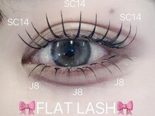 ビーナスベルト 池袋(VENUS BELT)/上下flat lash