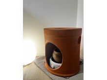 クオルボディケア(QOL Body Care)