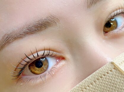 リロ(Lilo)の写真