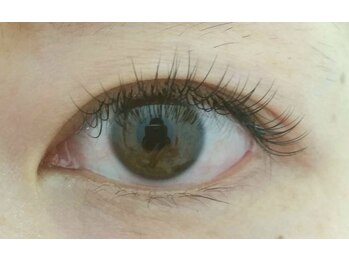 ミュラ 古江店(Myrrha)/まつ毛エクステ