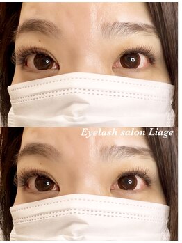 リアージュ(Liage)/4Dラッシュ180束　カラー