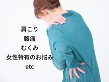 はは猫のハムストリングス/全ての不調は血行不良と体の冷え