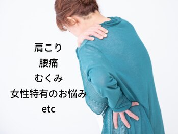 はは猫のハムストリングス/全ての不調は血行不良と体の冷え