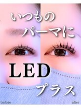 スパイス なんば店(Spice)/LEDパーマ
