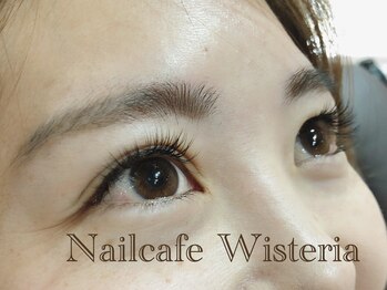 ウィステリア(Wisteria)/抗菌セーブル100本コース