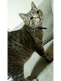 アダージョ(Adagio) 愛猫トコがAdagioのロゴマークの起源です♪
