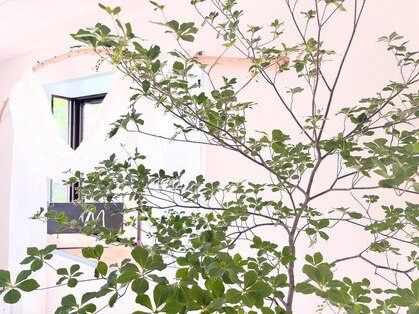 まつげサロン ミィの写真