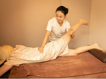 チェリー(Cherry)/中国ストレッチ