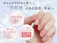 つきしずく
