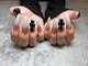 nail salon Blossom 元町三宮【ワンホンネイル/持ち込み/長さだし/韓国/フィルイン】の写真/韓国・ワンホンネイル／パーツ付き定額￥7,980◆ブライダルやイベントに。持ち込みアートもOK◎