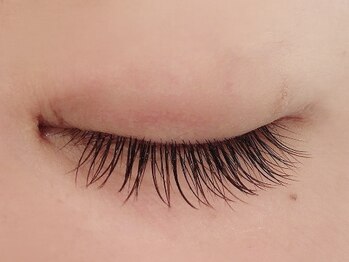 カラン 焼津店(CALIN)/ブラウンラッシュ100本♪