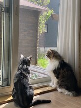 【足つぼ/よもぎ蒸し/オイルリンパ/腸もみ/ヘッドスパ】女性専用サロンPuana/ねこず