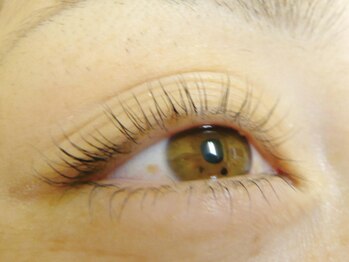 パールヒナ(Pearl HINA)の写真/マツエクよりナチュラルでパッチリ！【トリートメントまつげパーマ】高品質・高技術＆低価格で目力UP♪