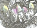 垣花限定メニュー★