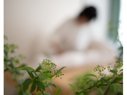 ビーアネックス 三軒茶屋(b-ANNEX)の写真