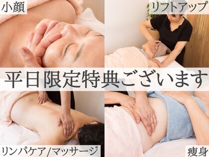 ロータスサリの写真