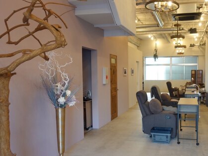 ヌフ(neuf)の写真