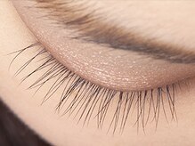 キュラス 弘明寺/100本