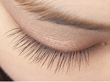 キュラス 弘明寺/120本