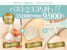 美人バスト 千葉店