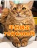 平日限定＊全員70分【うたたね選べる70分】6900円