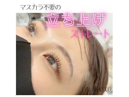 ココ(COCO)の写真