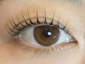 ナナ 福岡(NANA)/パリジェンヌラッシュリフト