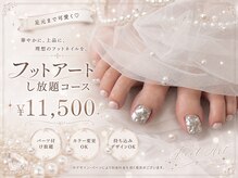スティムネイル(Stimu nail)/【フットアートし放題コース】