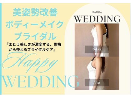 ダリア(DAHLIA)の写真