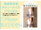 ダリア(DAHLIA)の写真