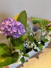 オクノマ(OKUNOMA)/【季節のお花】
