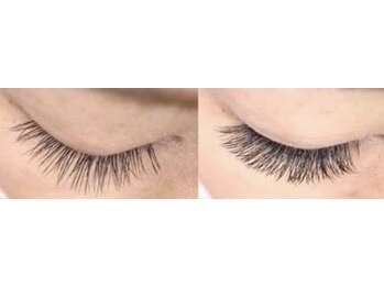 ルナウーナ 谷塚店(LUNAUNA)の写真/種類豊富で理想のまつ毛に！新メニューMEGAフラットラッシュ&バインドロック/フラット/ボリューム/セーブル