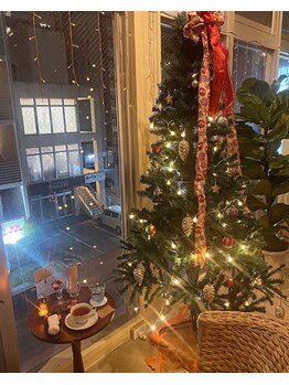 リーズ(RIES)/2023年クリスマスツリー