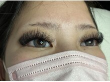 オランダエステティック(Holland Esthetics)/VL 600本