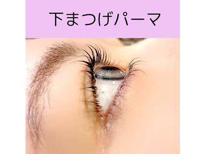 ティーエスエフビーエイト(T.S.F.B Eight)の写真
