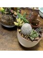 ラダシア 前橋けやき店 念願の多肉植物の寄せ植えをしてきました!