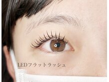 カラー(KOLOR)/LEDフラットラッシュ