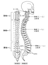 リラックスガーデン&nbsp;伊藤 