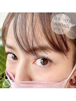 アンド(&)/フラットラッシュ１２０本