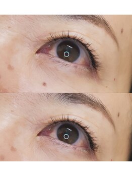 ハイディー(Hi-De)/