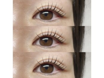 アイラッシュ ベイビーステップ(Eyelash Baby step)/パリジェンヌラッシュリフト