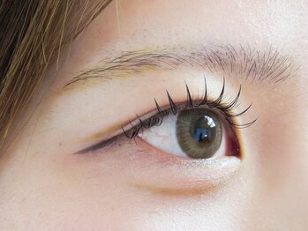 ジャンティーユ(gentille)/フラットラッシュ120本